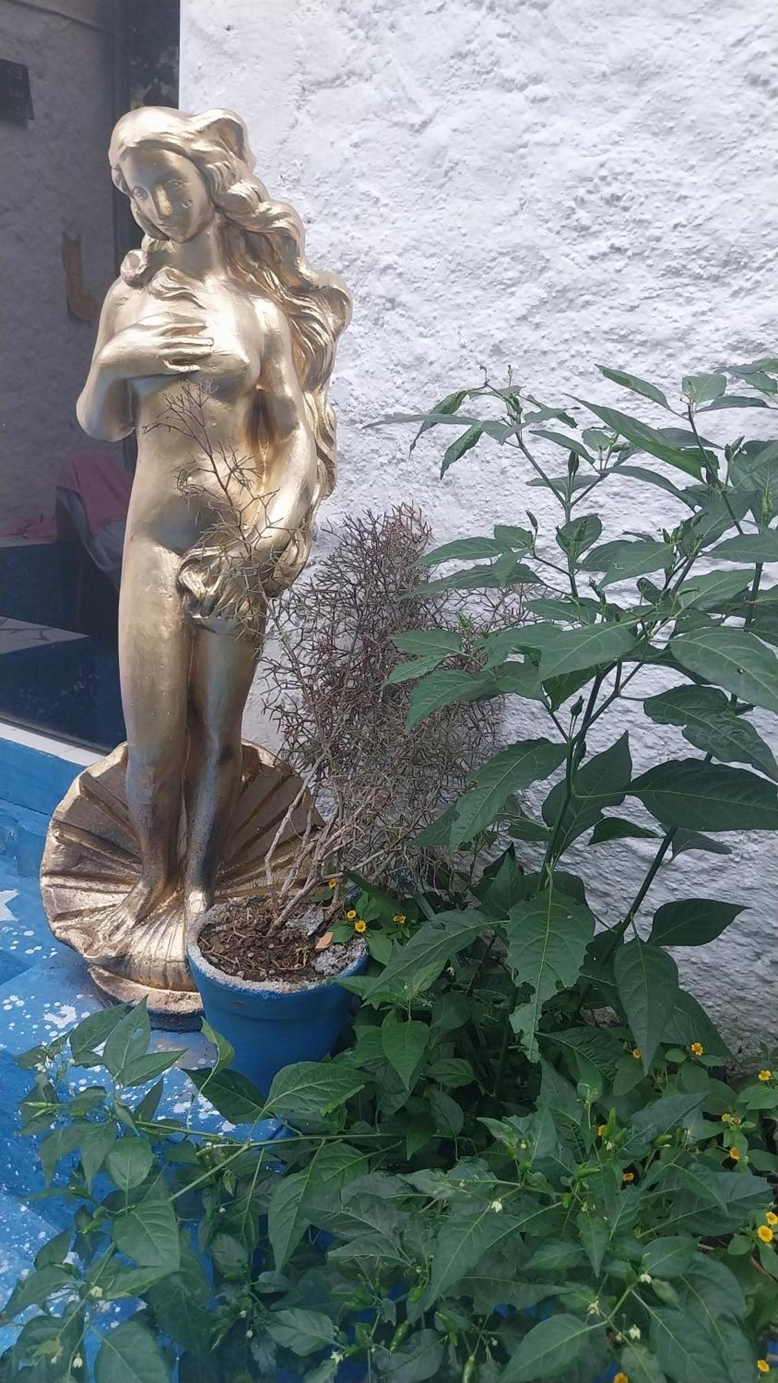 Pousada Das Estrelas No Centro De Conservatória المظهر الخارجي الصورة